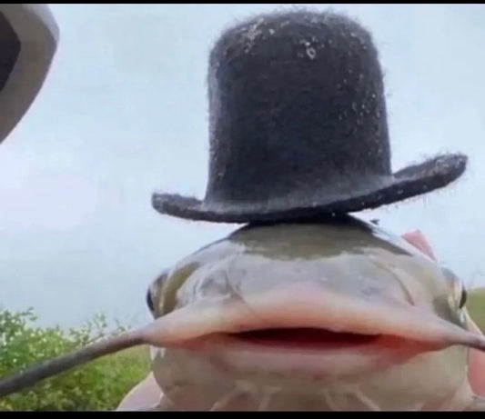 Your Royal Fishness
